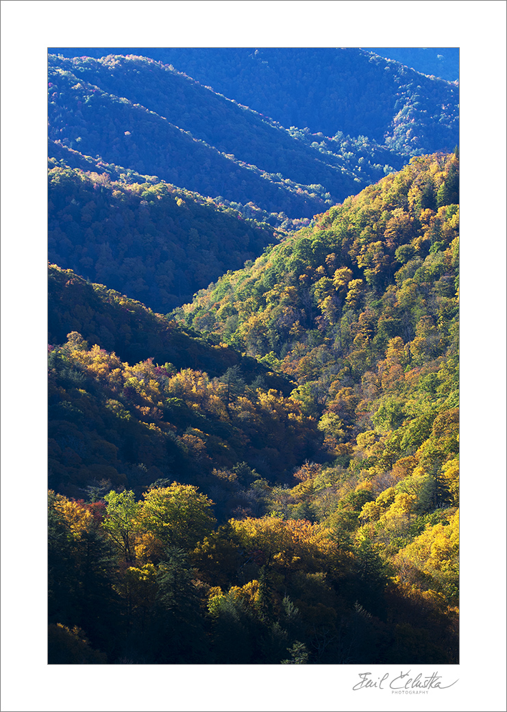 Barevný les, Great Smoky Mountains